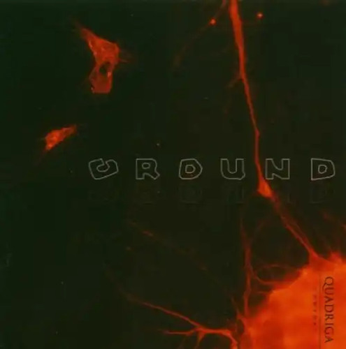 Quadriga consort ground - consort,
